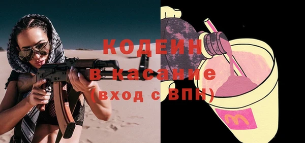 шишки Арсеньев