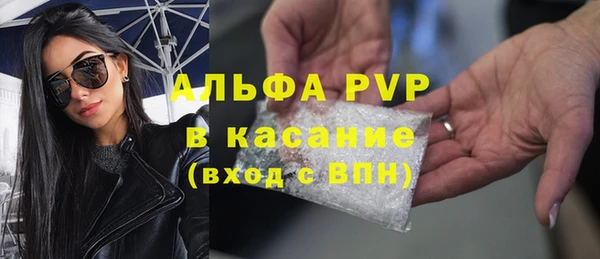 шишки Арсеньев