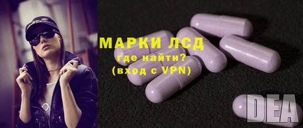 шишки Арсеньев