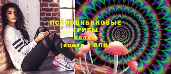 шишки Арсеньев