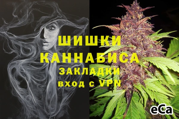 шишки Арсеньев