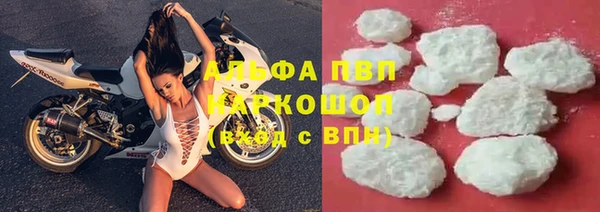 шишки Арсеньев